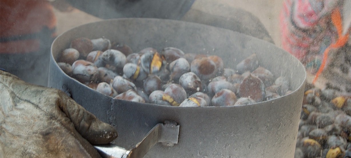 Marvão-Chestnut-Fair